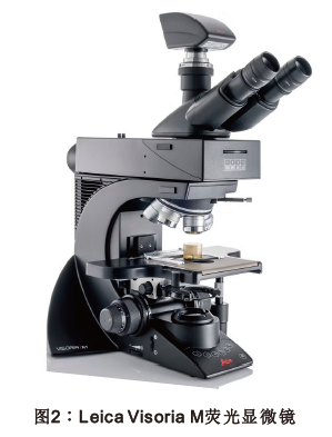 腾博汇游戏官网·(中国)专业效劳,诚信为本